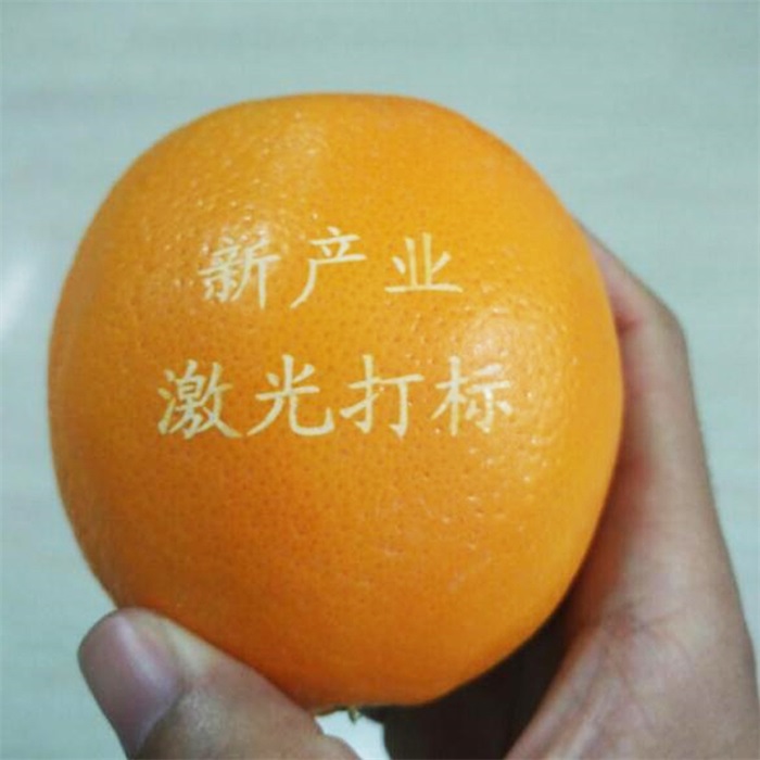水果激光標(biāo)記機